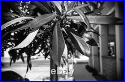 Neoca 2S 35mm Film Rangefinder Camera Neokor f3.5 45mm lens original case TESTED